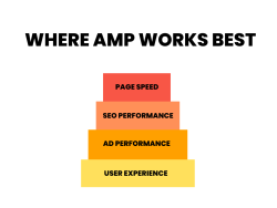 The Primary Uses of AMP