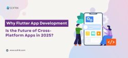 Flutter App Development