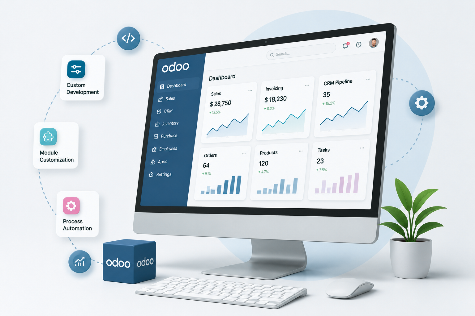 Odoo customization services